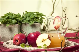 Malus domestica - Kulturapfel Malus domestica - Kulturapfel