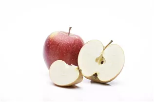 Malus domestica - Kulturapfel Malus domestica - Kulturapfel