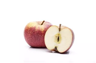 Malus domestica 'Boskoop' - Apfel 'Boskoop' Malus domestica 'Boskoop' - Apfel 'Boskoop'