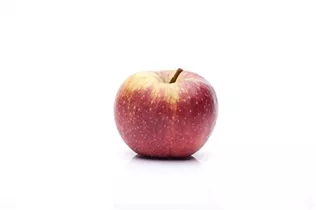 Malus domestica 'Boskoop' - Apfel 'Boskoop' Malus domestica 'Boskoop' - Apfel 'Boskoop'
