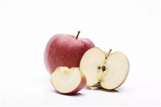 Malus domestica 'Braeburn' - Apfel 'Braeburn' Malus domestica 'Braeburn' - Apfel 'Braeburn'