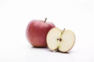 Malus domestica 'Braeburn' - Apfel 'Braeburn' Malus domestica 'Braeburn' - Apfel 'Braeburn'