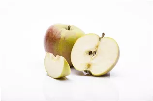 Malus domestica 'Cox Orange' - Apfel 'Cox Orange' Malus domestica 'Cox Orange' - Apfel 'Cox Orange'