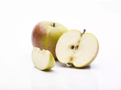 Malus domestica 'Cox Orange' - Apfel 'Cox Orange' Malus domestica 'Cox Orange' - Apfel 'Cox Orange'