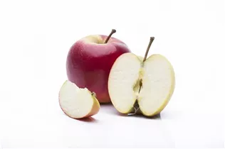 Malus domestica 'Elstar' - Apfel 'Elstar' Malus domestica 'Elstar' - Apfel 'Elstar'