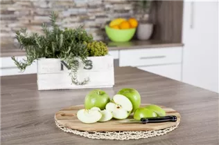 Malus domestica 'Granny Smith' - Winterapfel 'Granny Smith'