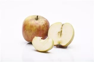 Malus domestica 'Holsteiner Cox' - Herbstapfel 'Holsteiner Cox' 