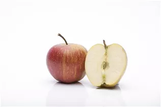 Malus domestica 'Rubinette'® - Herbstapfel 'Rubinette'®