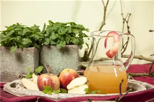 Malus domestica 'Rubinette'® - Herbstapfel 'Rubinette'®