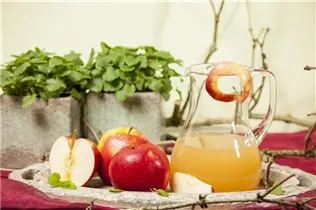 Malus domestica 'Jonagold' - Apfel 'Jonagold' Malus domestica 'Jonagold' - Apfel 'Jonagold'