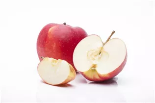 Malus domestica 'Jonagold' - Apfel 'Jonagold' Malus domestica 'Jonagold' - Apfel 'Jonagold'