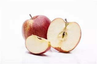 Malus domestica 'Jonagored' - Apfel 'Jonagored'