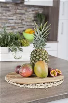 Mangifera indica - Mango-Baum