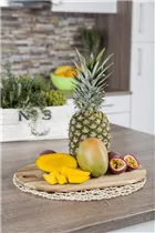 Mangifera indica - Mango-Baum