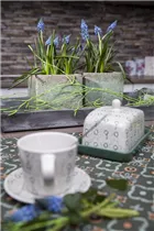 Muscari armeniacum 'Big Smile' - Traubenhyazinte 'Big Smile' Muscari armeniacum 'Big Smile' - Traubenhyazinte 'Big Smile'