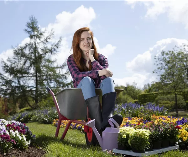 - Stechen, graben, schneiden: die wichtigsten Gartenwerkzeuge  - Stechen, graben, schneiden: die wichtigsten Gartenwerkzeuge