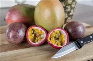 Passiflora edulis - Maracuja Passiflora edulis - Maracuja