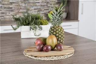 Passiflora edulis - Maracuja Passiflora edulis - Maracuja