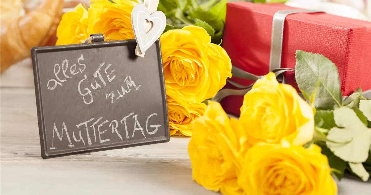  - Zum Muttertag nur das Beste – Der Mama eine Freude machen