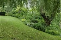 - Den Rasen im Herbst optimal auf den Winter vorbereiten  - Den Rasen im Herbst optimal auf den Winter vorbereiten