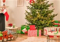 - Der richtige Weihnachtsbaum für das Fest der Liebe  - Der richtige Weihnachtsbaum für das Fest der Liebe