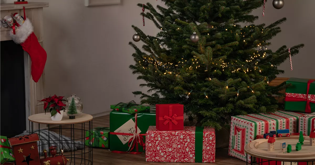  - Der richtige Weihnachtsbaum für das Fest der Liebe