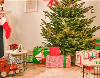 Der richtige Weihnachtsbaum für das Fest der Liebe