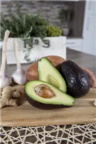 Persea americana - Avocado Persea americana - Avocado