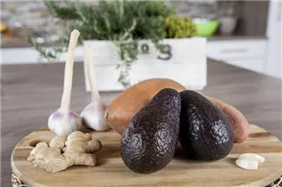 Persea americana - Avocado Persea americana - Avocado