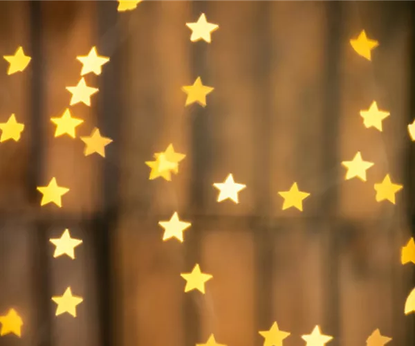 - Mit dieser Weihnachtsdekoration geht allen ein Licht auf!  - Mit dieser Weihnachtsdekoration geht allen ein Licht auf!