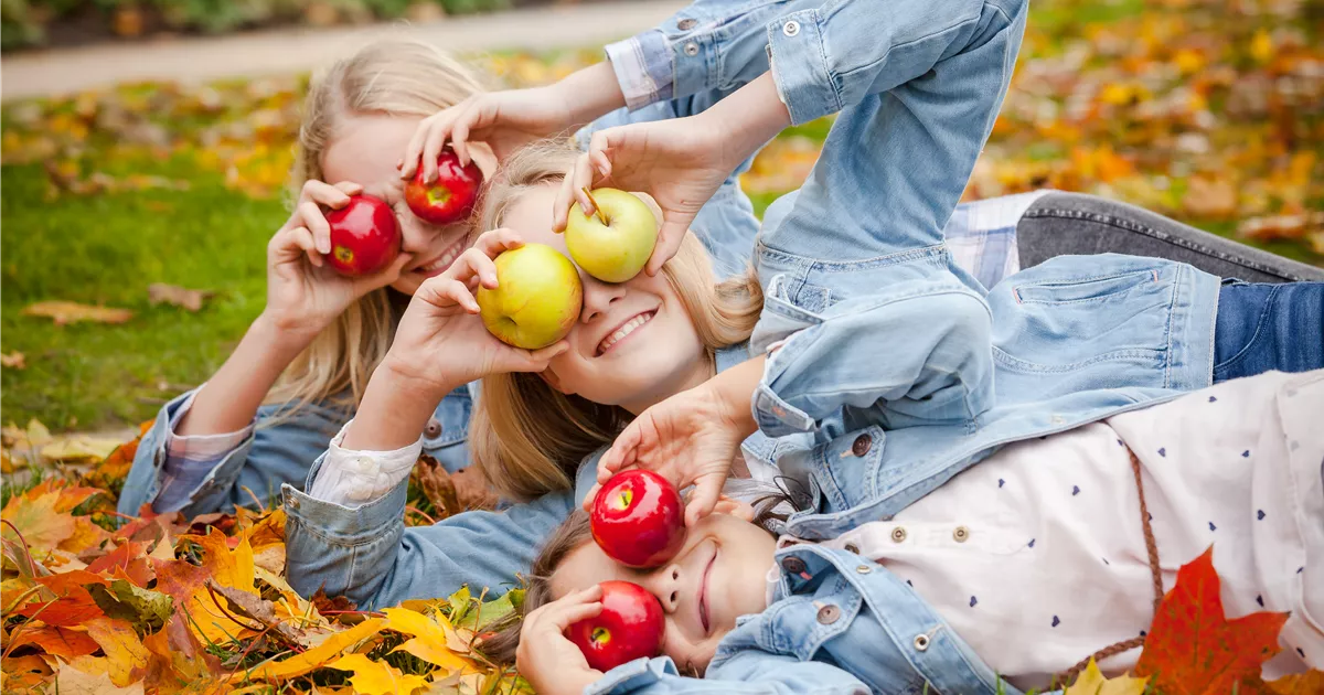  - Obstbäume richtig pflanzen und erfolgreich zurückschneiden