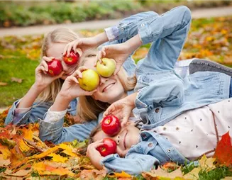 Obstbäume richtig pflanzen und erfolgreich zurückschneiden