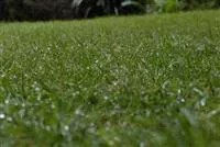 - Rasensprenger installieren und entspannt zurücklehnen  - Rasensprenger installieren und entspannt zurücklehnen