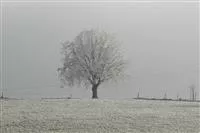 - Winterschutz für den Garten – Auf in die kalte Jahreszeit!  - Winterschutz für den Garten – Auf in die kalte Jahreszeit!