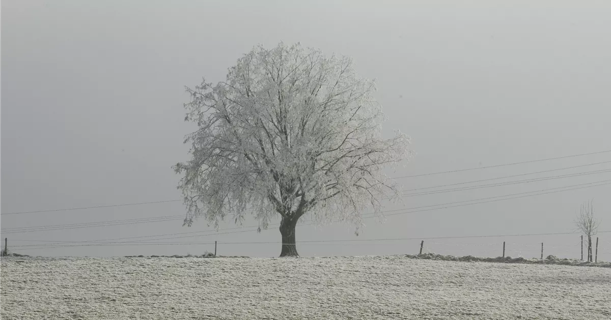  - Winterschutz für den Garten – Auf in die kalte Jahreszeit!