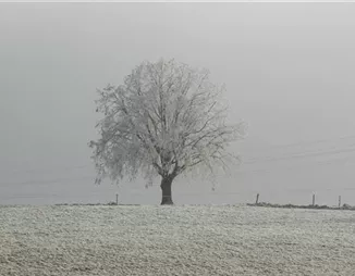Winterschutz für den Garten – Auf in die kalte Jahreszeit! Winterschutz für den Garten – Auf in die kalte Jahreszeit!