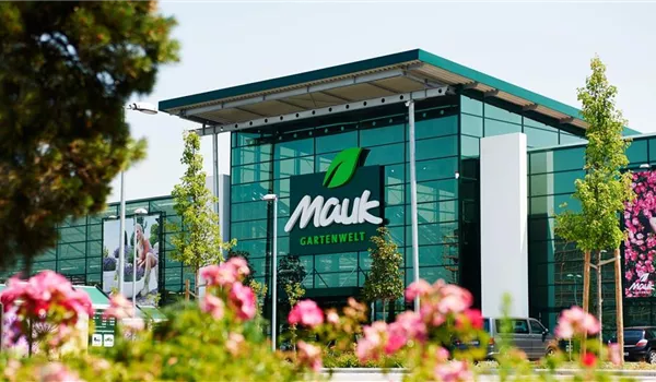 Mauk-Gartenwelt-Oberursel-1200x600px Mauk-Gartenwelt-Oberursel-1200x600px