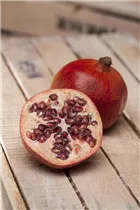 - Punica granatum  - Punica granatum