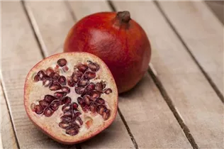 - Punica granatum  - Punica granatum
