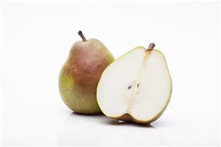  - Pyrus communis 'Clapps Liebling'