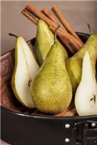  - Pyrus communis 'Conference'