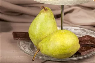  - Pyrus communis 'Köstliche von Charneux'