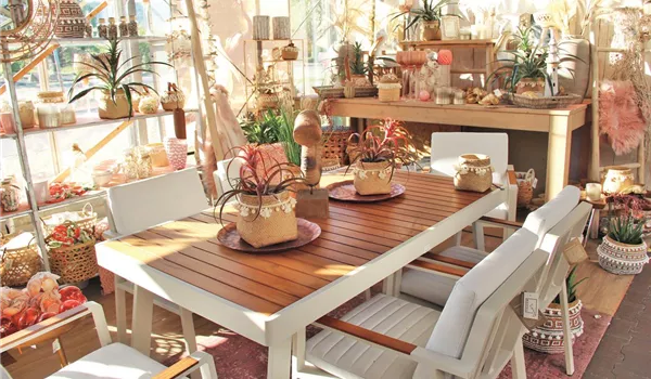 IMG_2493_bearb IMG_2493_bearb