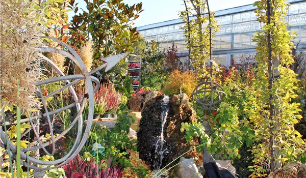 IMG_1124_bearb IMG_1124_bearb