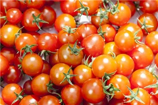  - Solanum lycopersicum 'Buschtomate'