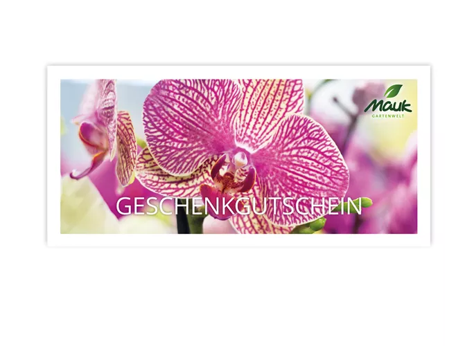 Print @ Home - Gutschein zum Ausdrucken Print @ Home - Gutschein zum Ausdrucken