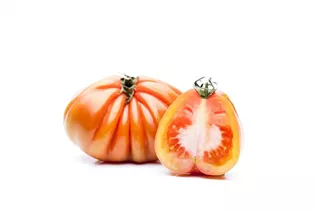  - Solanum lycopersicum Fleischtomate