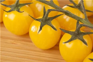 - Solanum lycopersicum var. cerasiforme  - Solanum lycopersicum var. cerasiforme