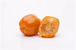 - Solanum lycopersicum var. cerasiforme  - Solanum lycopersicum var. cerasiforme