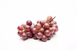 - Vitis vinifera 'Vanessa'®  - Vitis vinifera 'Vanessa'®